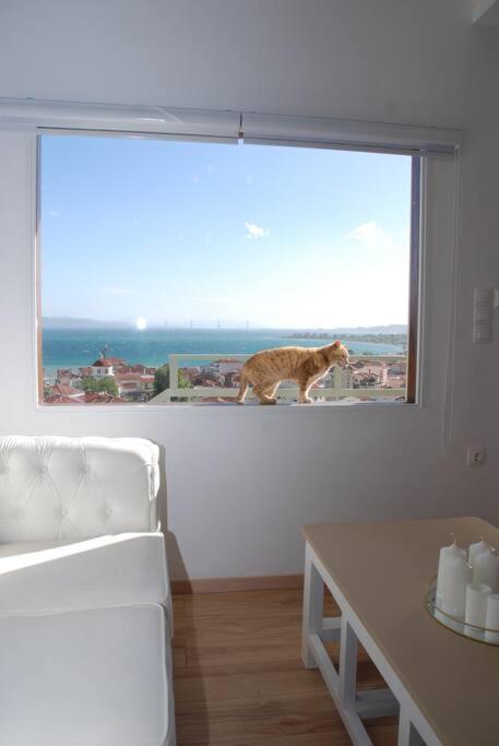 נפפקטוס 360ᵒ Lepanto Apartment מראה חיצוני תמונה